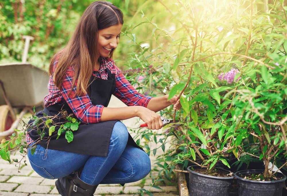 Woman gardening