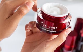 Using the Vine Vera Morning Recovery